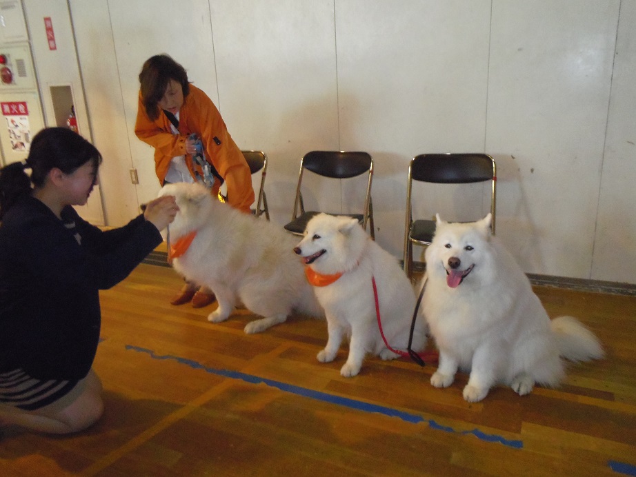 円山小学校全校朝礼に参加しました_b0102267_2128961.jpg