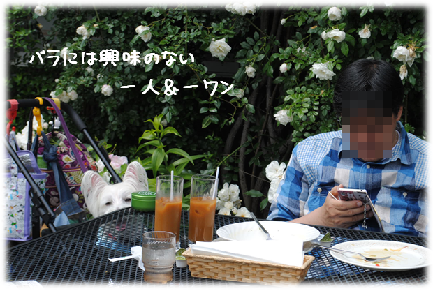 b0242873_00052241.png