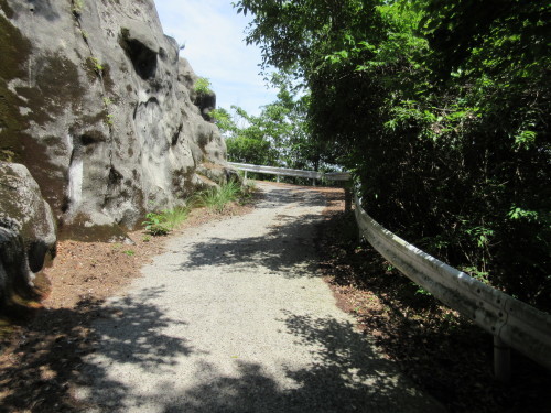 「voyAge cycling -transit cafe- \'茶道水を求めて・・・\' 016」_c0351373_20004864.jpg