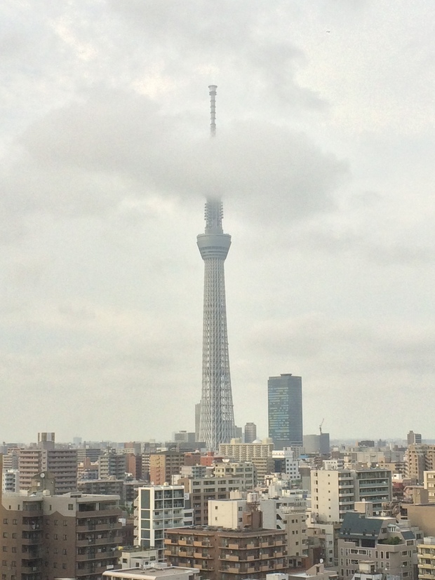 f0347877_20584533.jpg