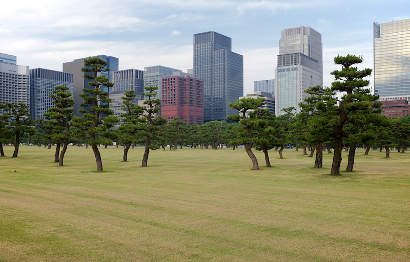 東京　#17　皇居前広場_b0307578_3392269.jpg