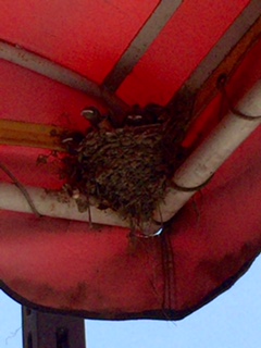 c0077283_746195.jpg