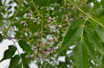c0229483_01558.jpg