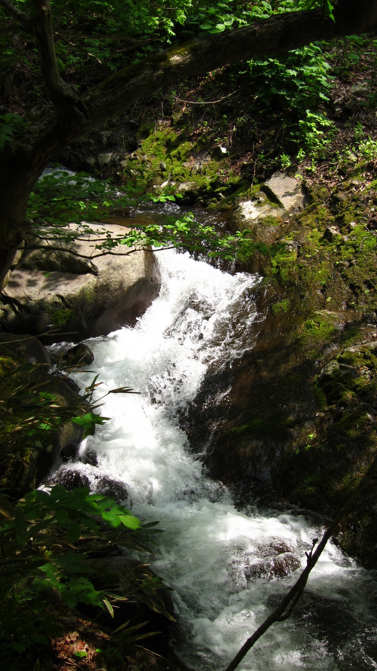 a0242984_9403340.jpg