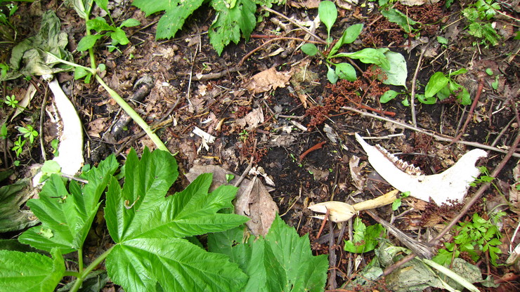 a0242984_945479.jpg