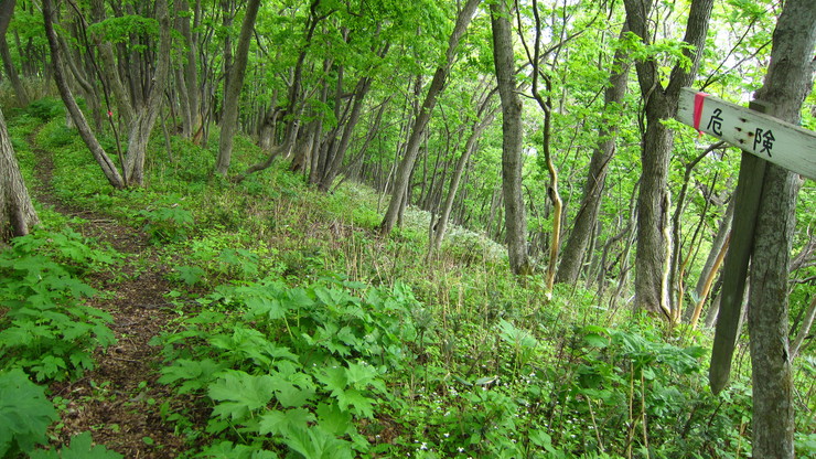 a0242984_955563.jpg