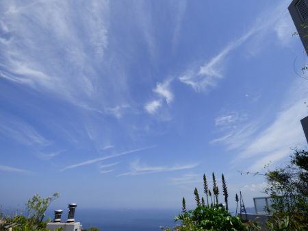 2015年6月2日 素材がすべて_b0098584_20595913.jpg