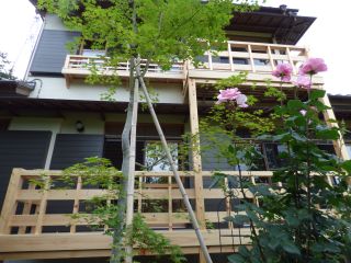 2015年6月2日 素材がすべて_b0098584_2135432.jpg
