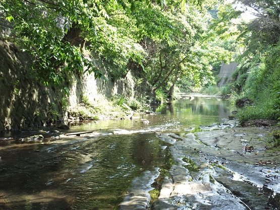 東勝寺橋 滑川 鎌倉市 Teione Blog 平山 貞一 東勝寺橋 滑川 鎌倉市 Teione Blog 平山 貞一