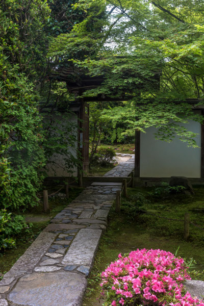 金福寺_e0051888_1229436.jpg
