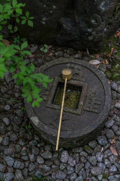 金福寺_e0051888_12295649.jpg