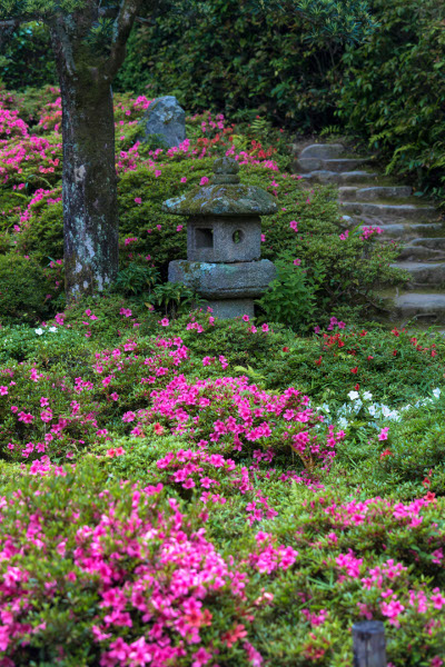 金福寺_e0051888_12301615.jpg