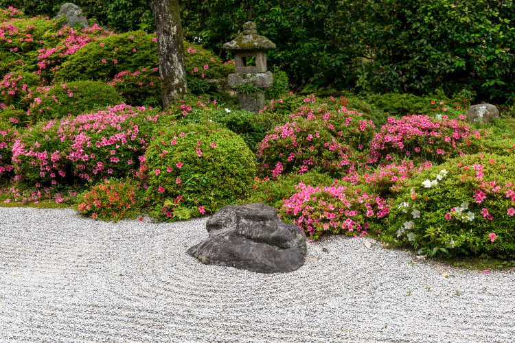 金福寺_e0051888_12303856.jpg