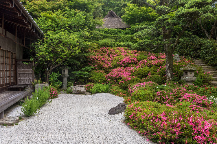 金福寺_e0051888_1230495.jpg