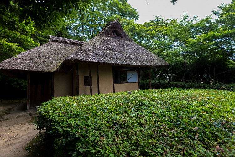 金福寺_e0051888_12305931.jpg