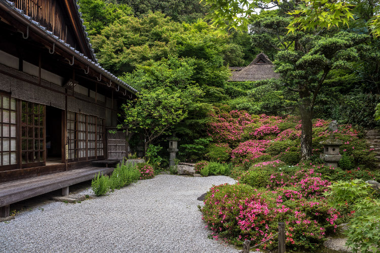 金福寺_e0051888_1231342.jpg