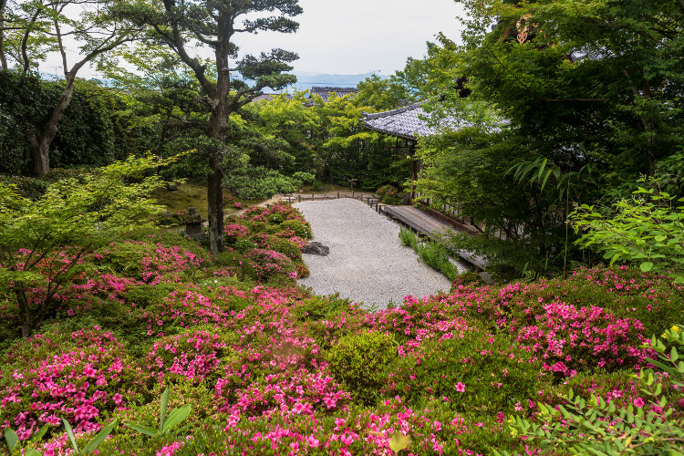 金福寺_e0051888_1231753.jpg