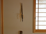 a0118993_2321671.jpg