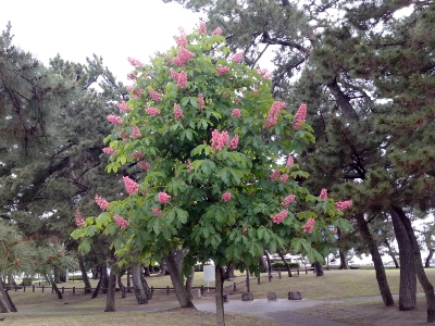 f0166694_19223538.jpg