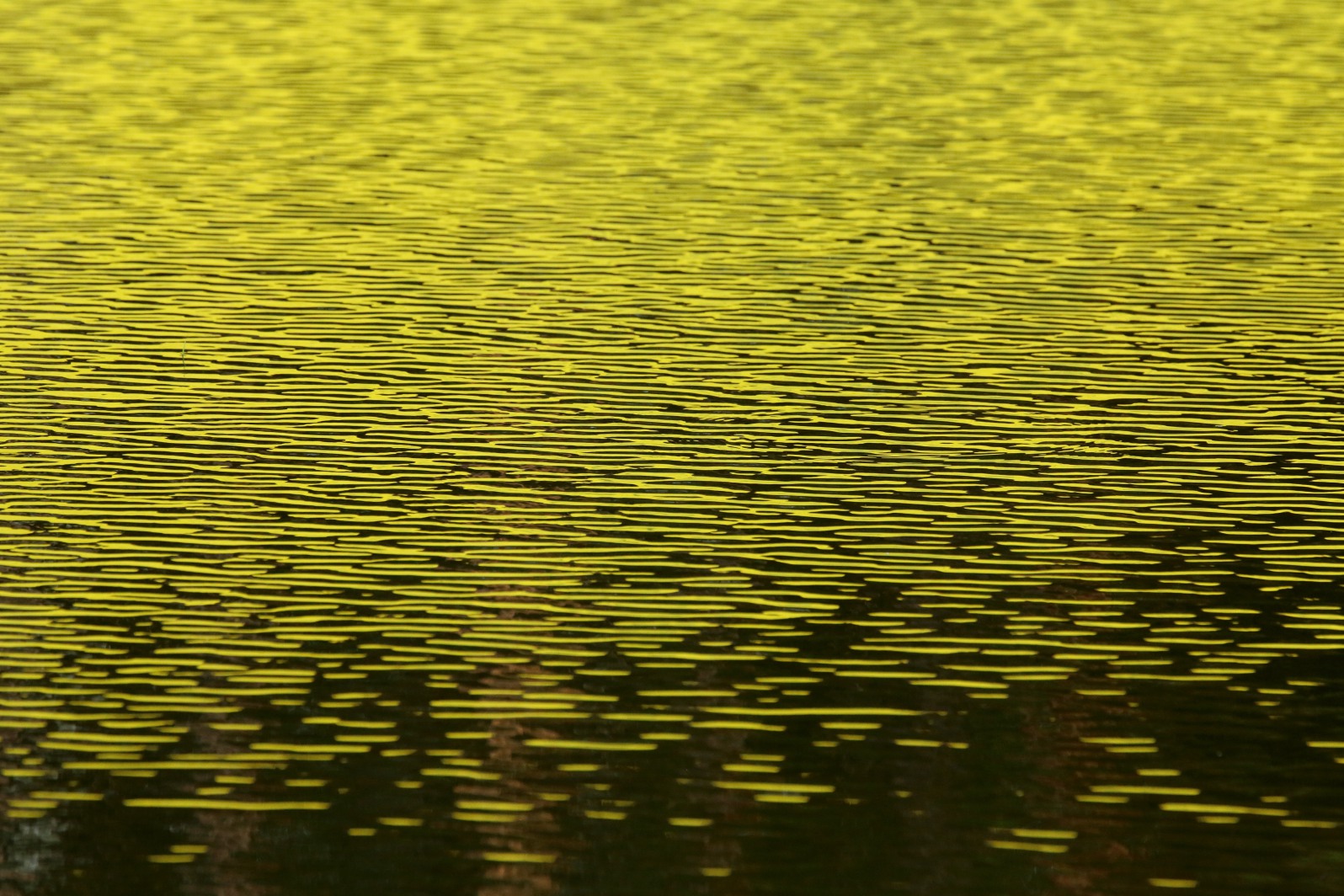 a0155104_01416.jpg