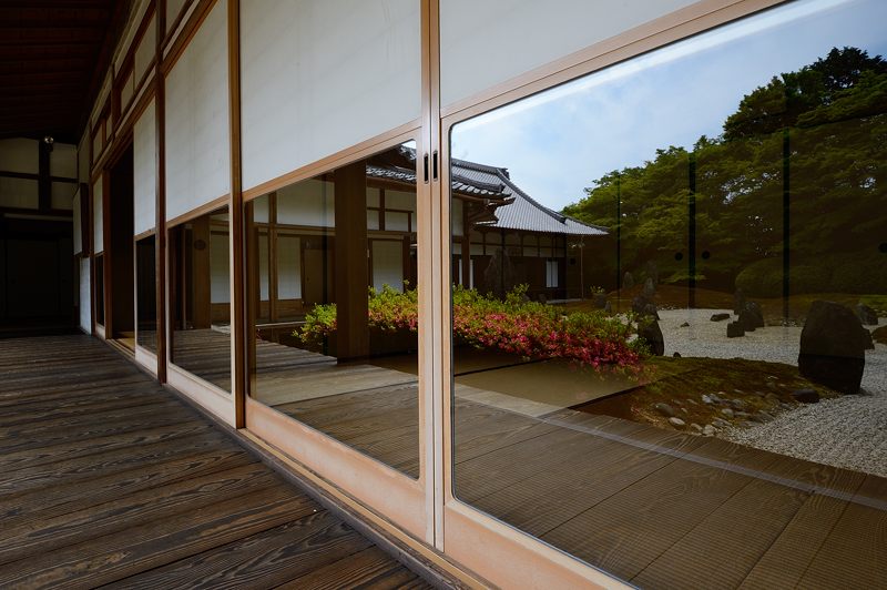 初夏の寺＠東福寺塔頭　光明院_f0032011_19444774.jpg