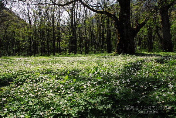 Short Backpaking in 上高地　2015　その5　下山_b0223512_2355113.jpg