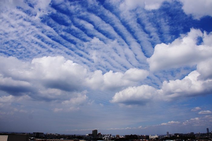 波状雲　（高積雲）_b0268615_1420553.jpg