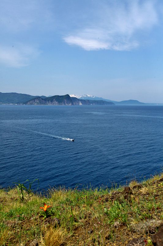 c0367515_115959.jpg