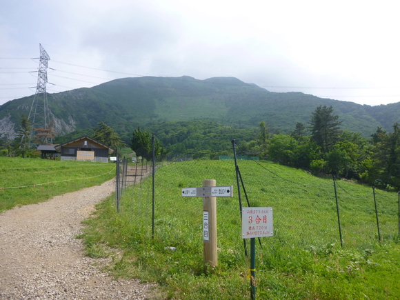 日本百名山　伊吹山 (1,377.3M) ヘリコプター救助訓練見学_d0170615_9231326.jpg