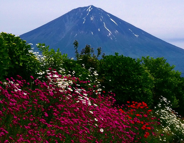a0087818_18441696.jpg