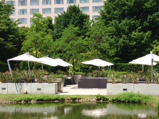 c0051529_16473.jpg