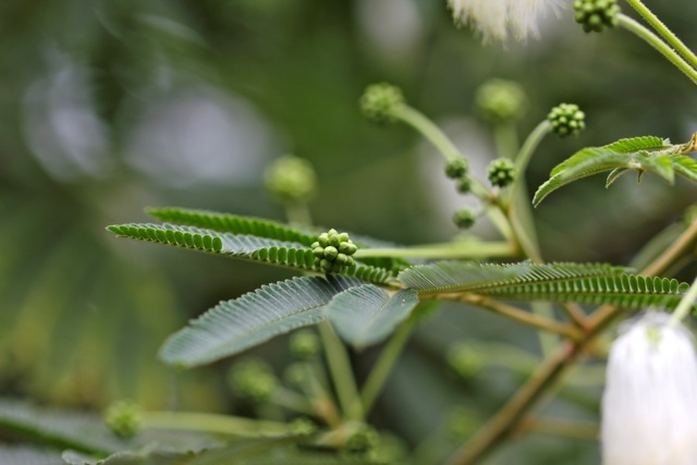 f0348831_07493614.jpg