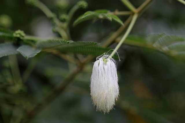 f0348831_07494031.jpg