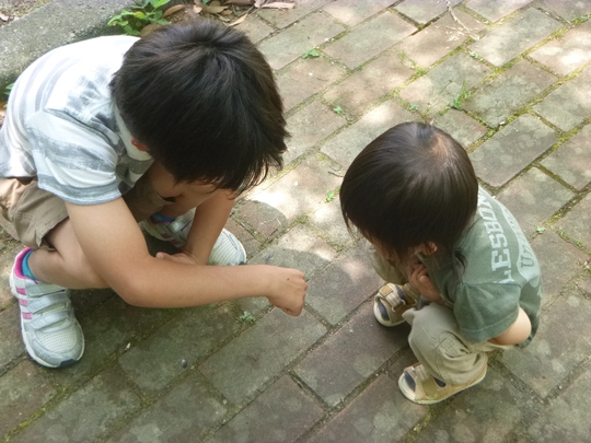c0113733_0123671.jpg