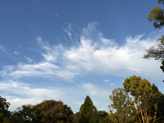 c0113733_015230.jpg