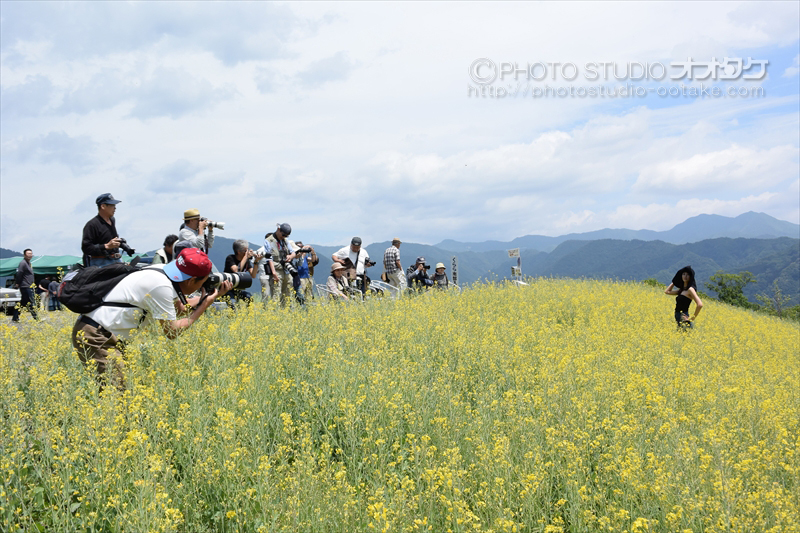 2015 菜の花とモデル撮影会 楽しんで頂けましたでしょうか？(^^♪_d0290233_11003796.jpg