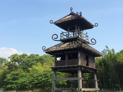 田原本町の本誓寺と水谷川源昇住職 : 奈良・桜井の歴史と社会