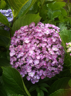 c0036138_043482.jpg