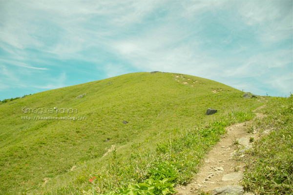 緑の風に吹かれて①**in 深入山_b0197639_19225566.jpg