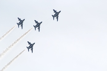 東北六魂祭　in 秋田_f0122639_946398.jpg