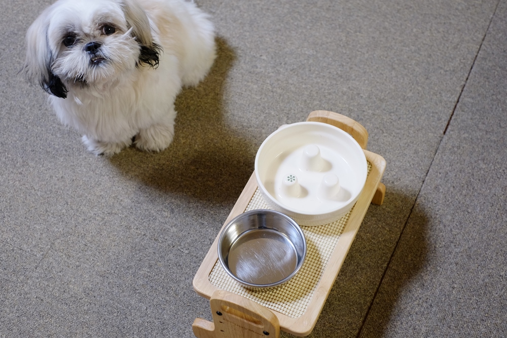 早食い防止食器 ポロと歩く