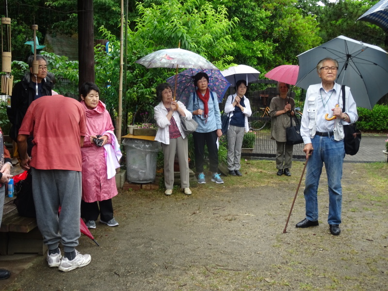 阪南市文化協会:文芸部「ササユリ観賞」来訪 in うみべの森_c0108460_17394152.jpg
