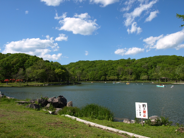 金太郎の池　６月_d0153062_993764.jpg