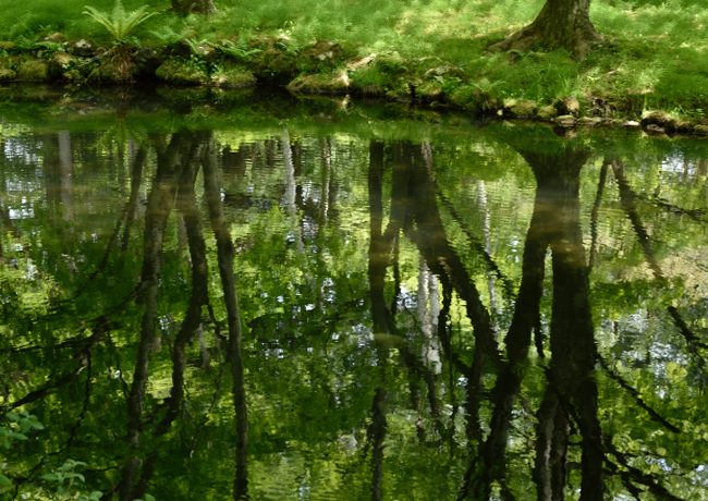 f0065768_22580909.jpg
