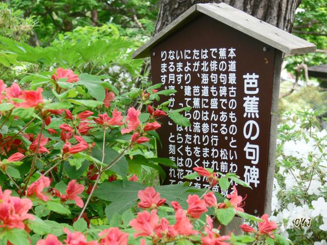 本道最古『芭蕉の句碑』_f0166871_14275481.jpg