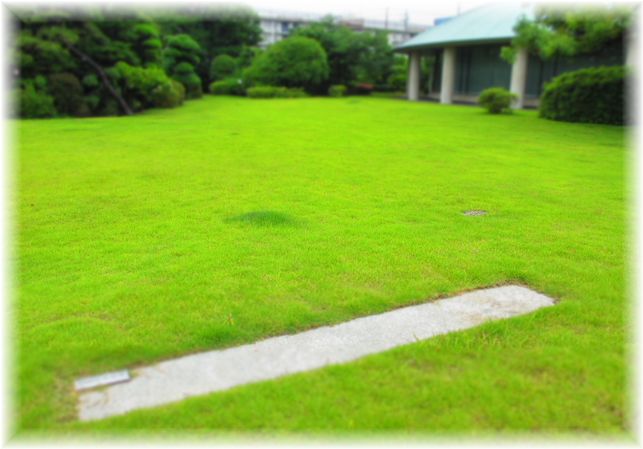 想いを馳せる・・・♪_d0175974_2074350.jpg
