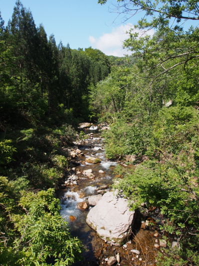 c0197578_1025025.jpg
