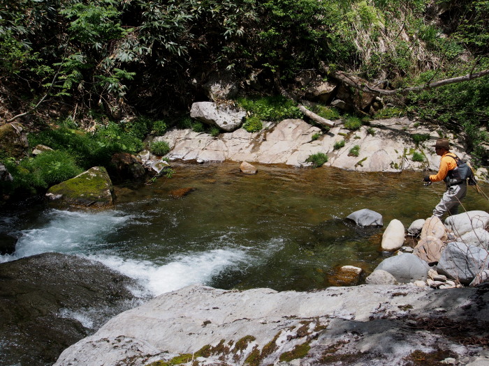 c0197578_11355.jpg