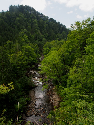 c0197578_14333216.jpg