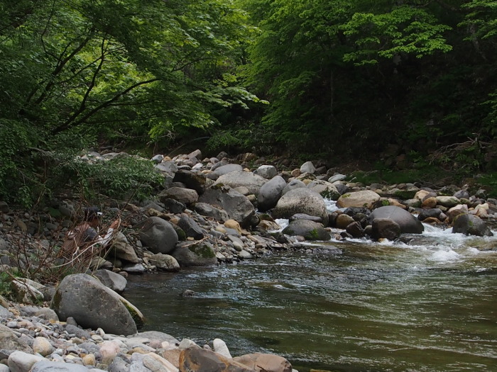 c0197578_14451687.jpg